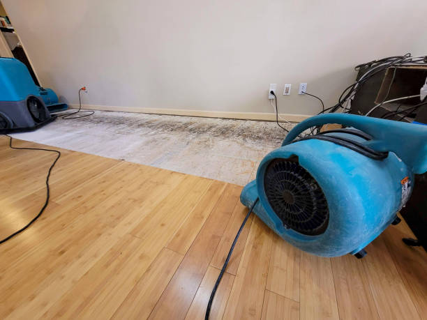 Professional Water Damage Repair technician working in Shorewood, MN
